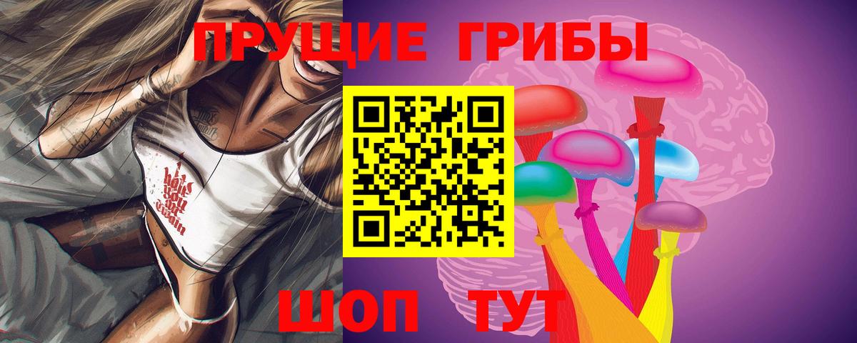 Ейск  Галлюциногенные грибы Cubensis  Вход с VPN 